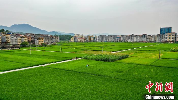 Aerial view of town in S China’s Guangxi