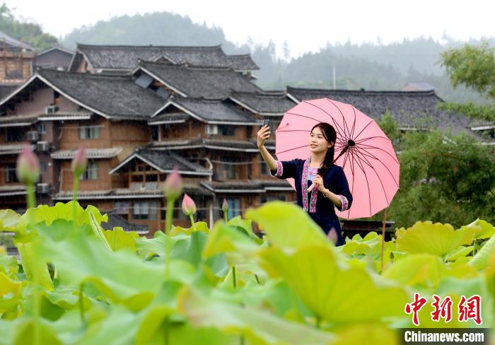 Scenery of lotus attracts tourists in S China’s Guangxi