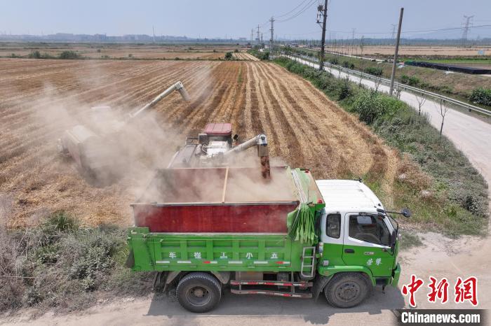 Farmers busy in harvesting wheat in E China’s Jiangsu Province