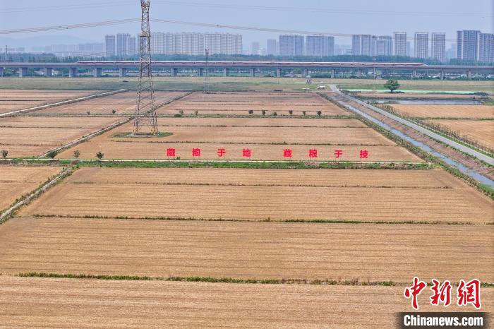 Farmers busy in harvesting wheat in E China’s Jiangsu Province