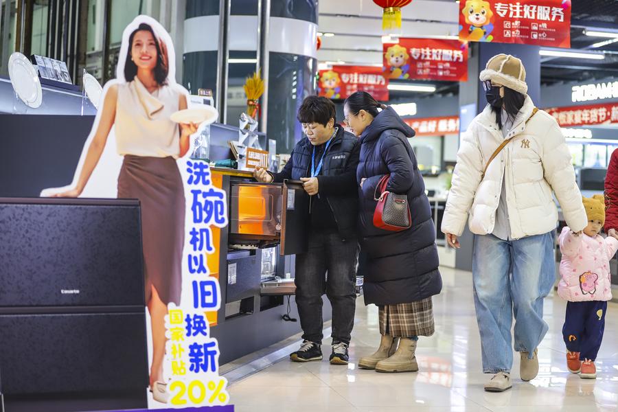 China's policy synergy sustains growth, stabilizes employment