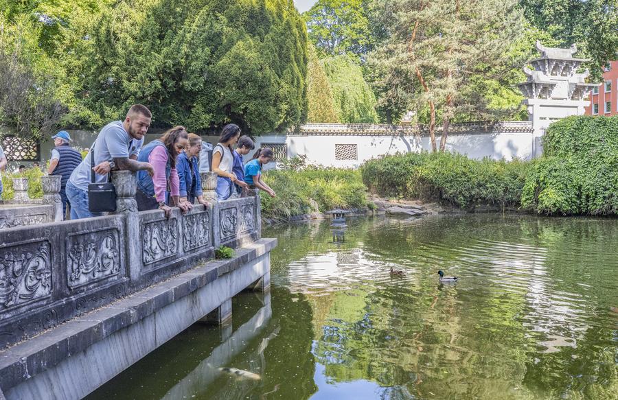 Hui-style garden connects international visitors with Chinese culture and aesthetics