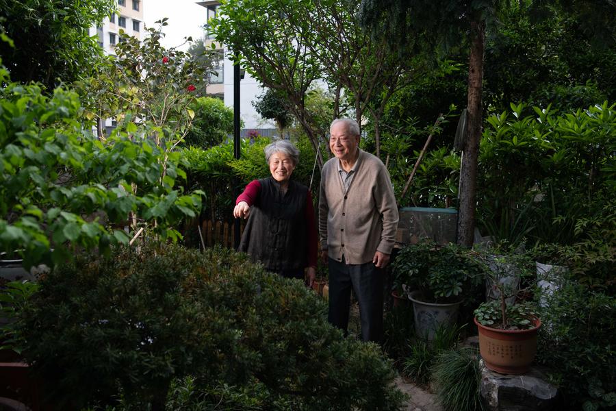 Hui-style garden connects international visitors with Chinese culture and aesthetics
