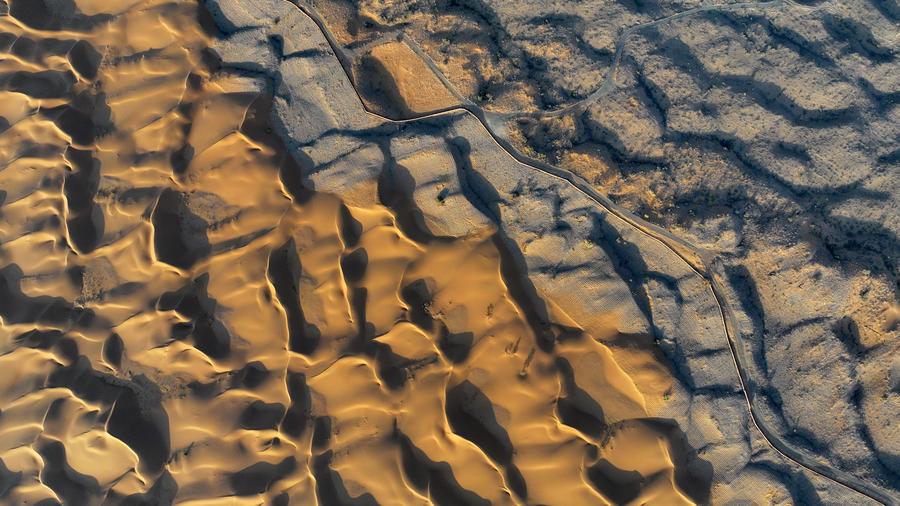 China's desertification control efforts embrace high-tech solutions