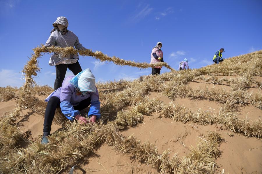 China's desertification control efforts embrace high-tech solutions
