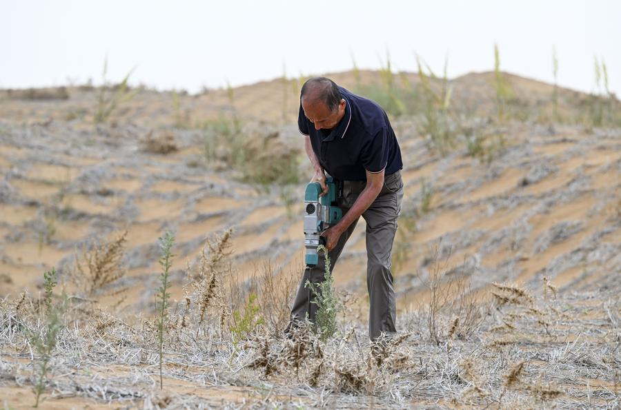 China's desertification control efforts embrace high-tech solutions