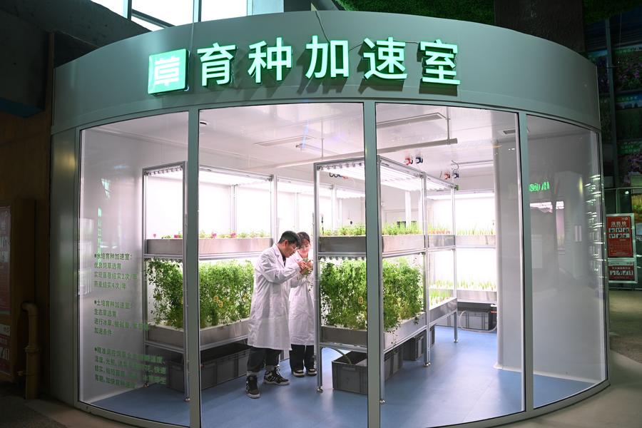 China's desertification control efforts embrace high-tech solutions