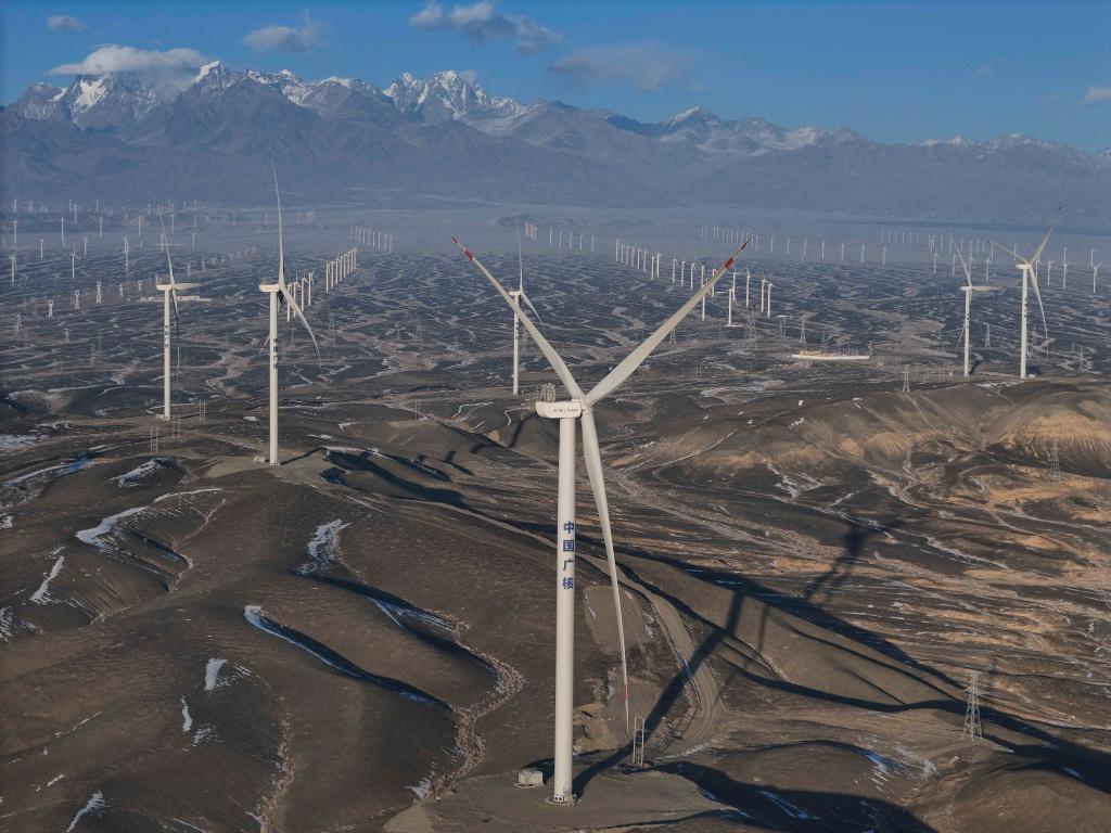 China's power generation capacity up 18.8 pct by end-May