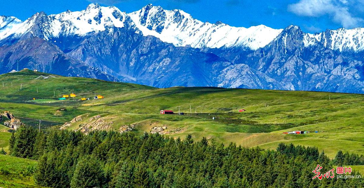 Qilian Mountains showcase summer splendor