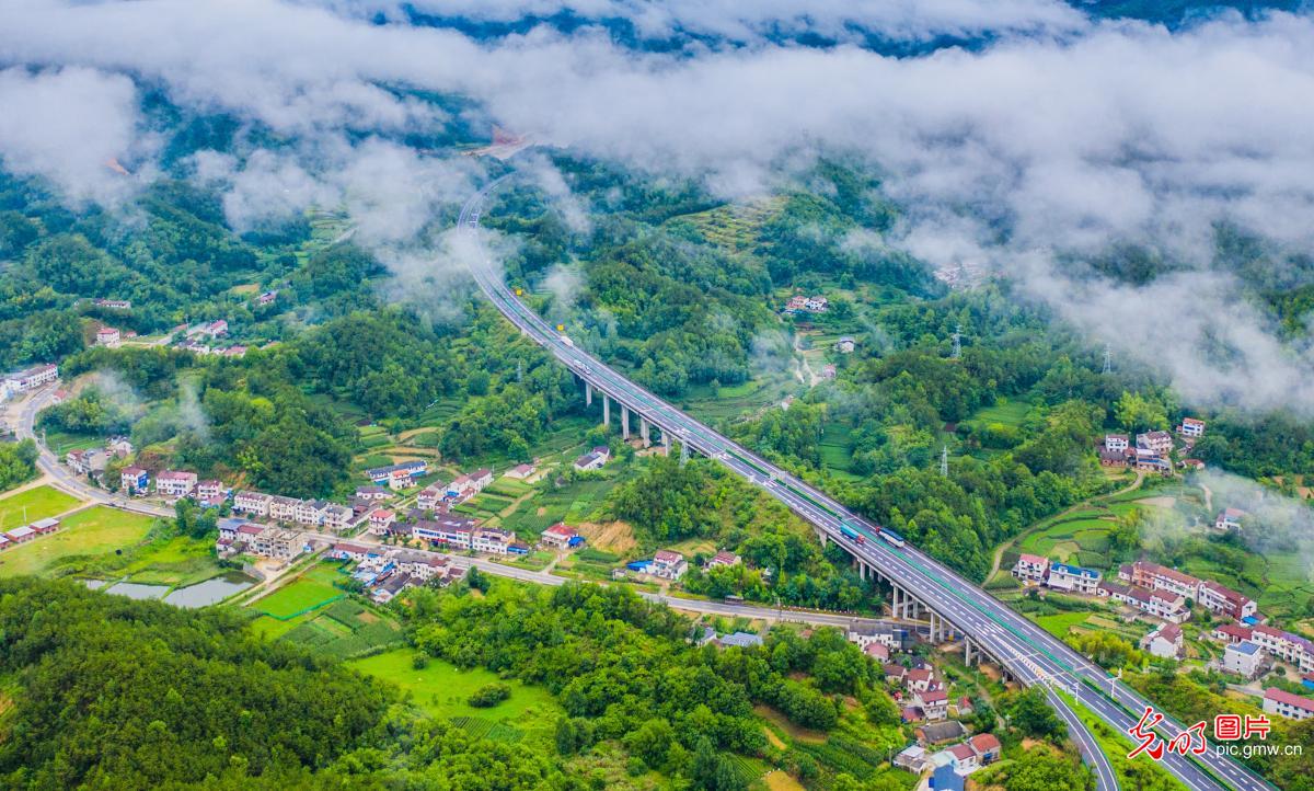 Scenic highway shrouded in sea of clouds