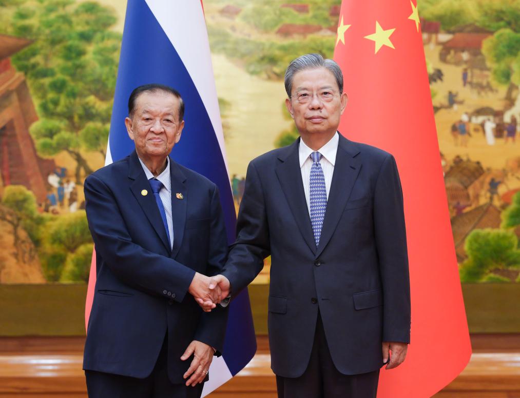 China's top legislator holds talks with Thailand's National Assembly president