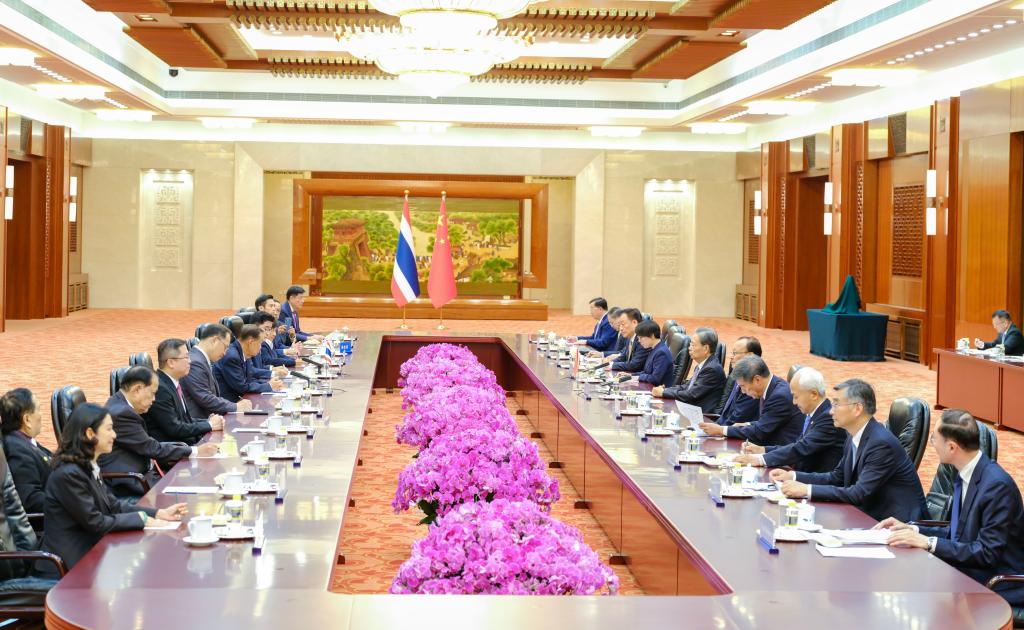 China's top legislator holds talks with Thailand's National Assembly president