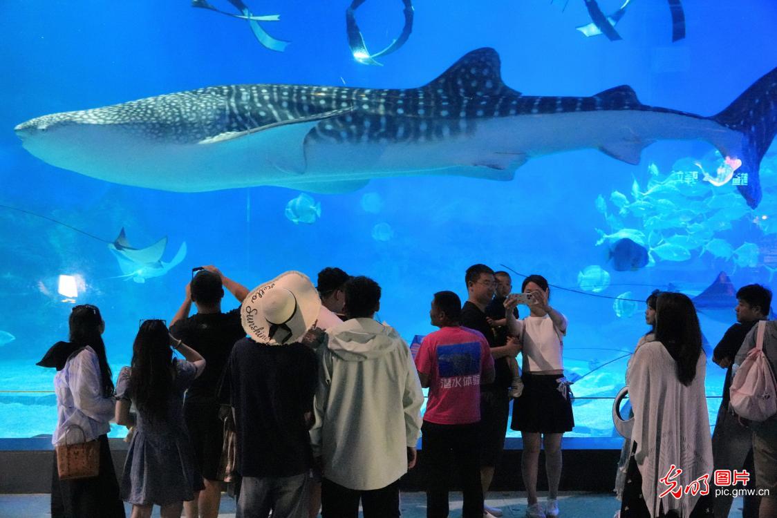 Public engagement promotes marine ecology awareness across China