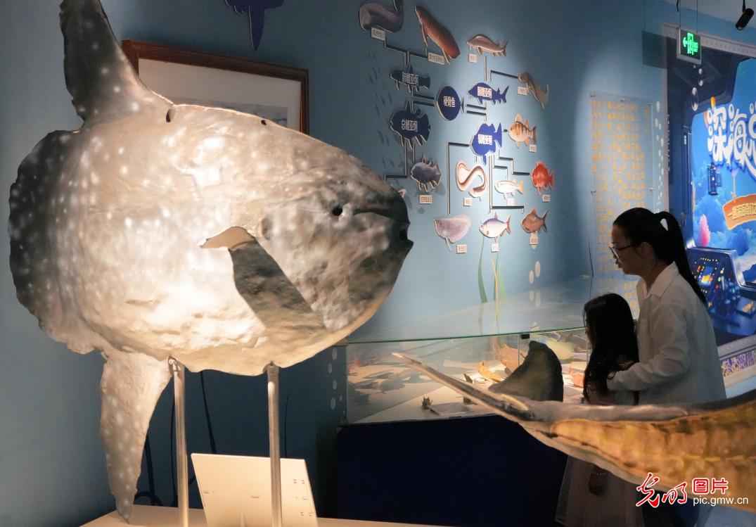 Public engagement promotes marine ecology awareness across China