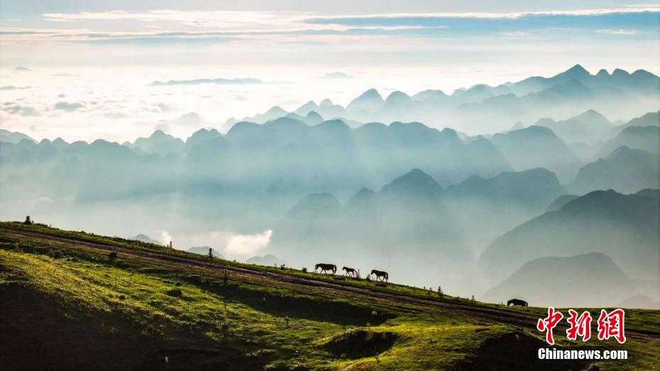 Picturesque scenery of sea of clouds in SW China’s Guizhou