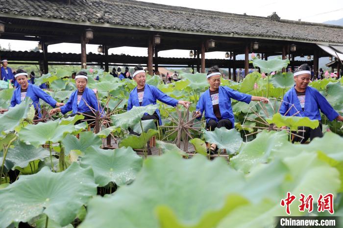 Tourists enjoy lotus flowers in full blossoms in S China’s Guangxi