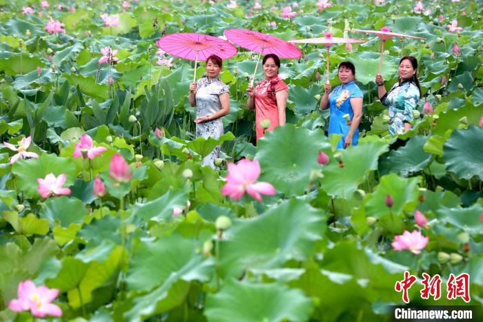 Tourists enjoy lotus flowers in full blossoms in S China’s Guangxi