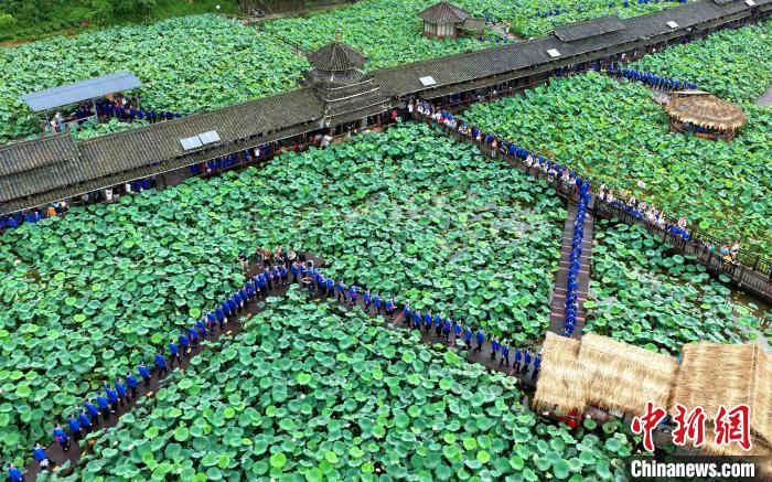 Tourists enjoy lotus flowers in full blossoms in S China’s Guangxi