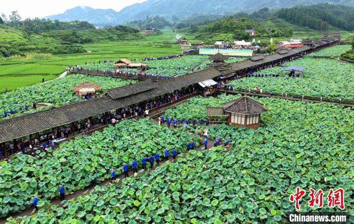 Tourists enjoy lotus flowers in full blossoms in S China’s Guangxi