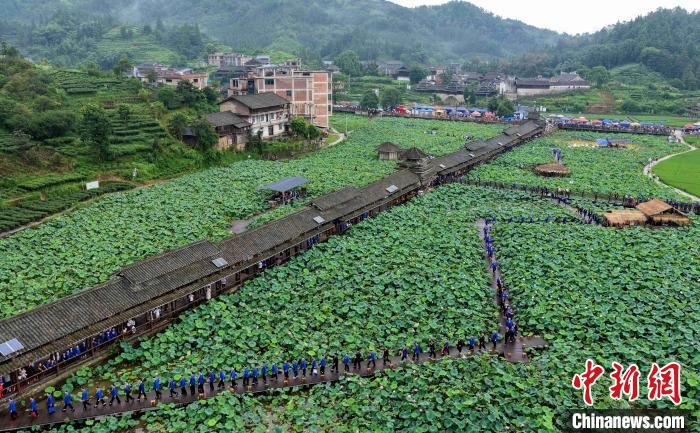 Tourists enjoy lotus flowers in full blossoms in S China’s Guangxi