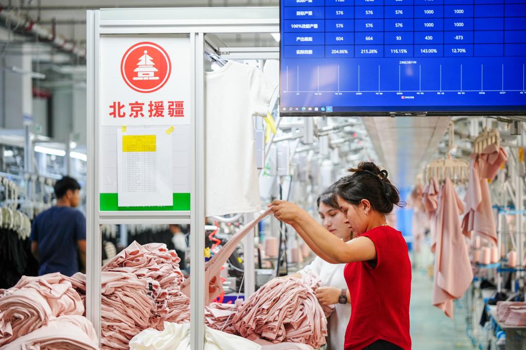 Vast pair-up program powers modern makeover of NW China's Xinjiang