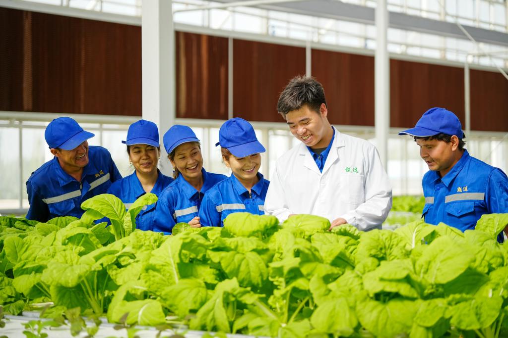 Vast pair-up program powers modern makeover of NW China's Xinjiang