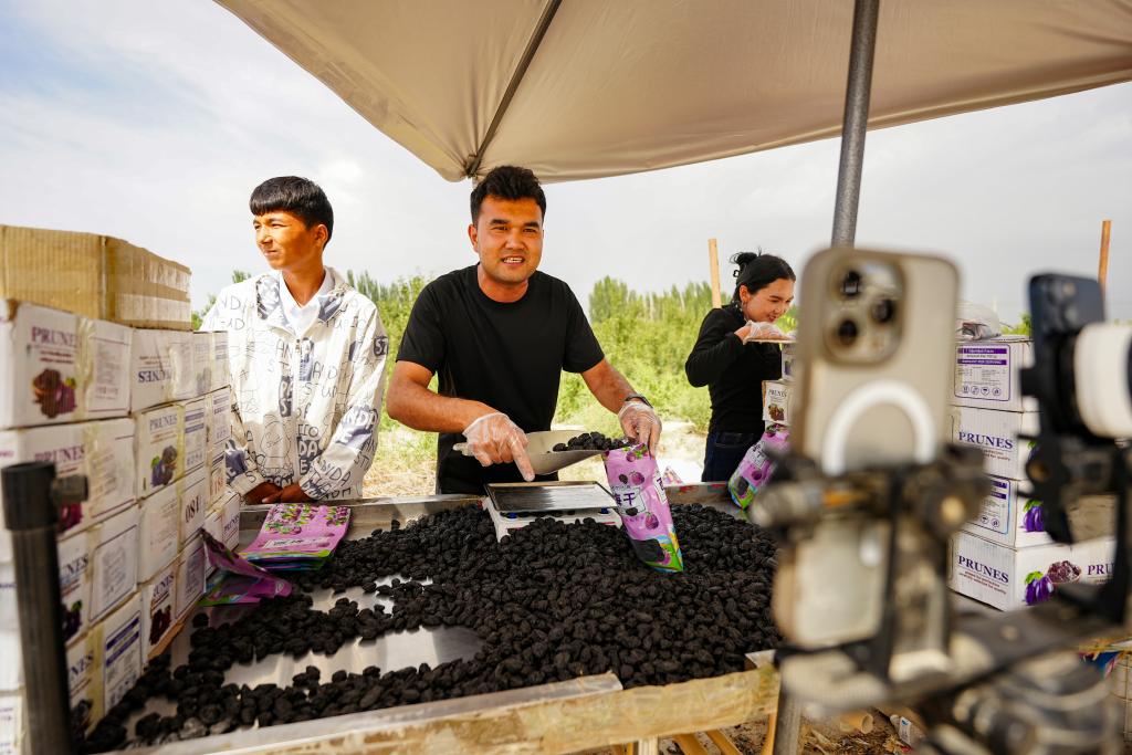 Vast pair-up program powers modern makeover of NW China's Xinjiang