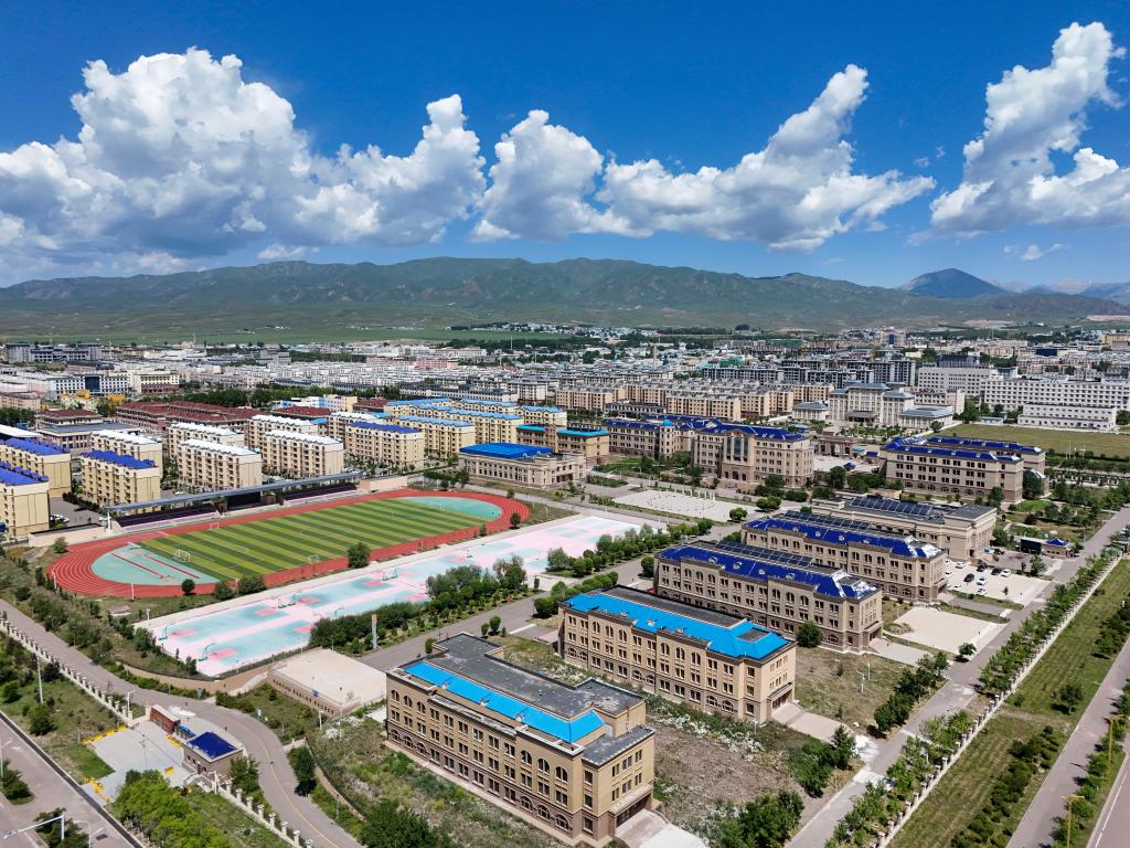 Vast pair-up program powers modern makeover of NW China's Xinjiang