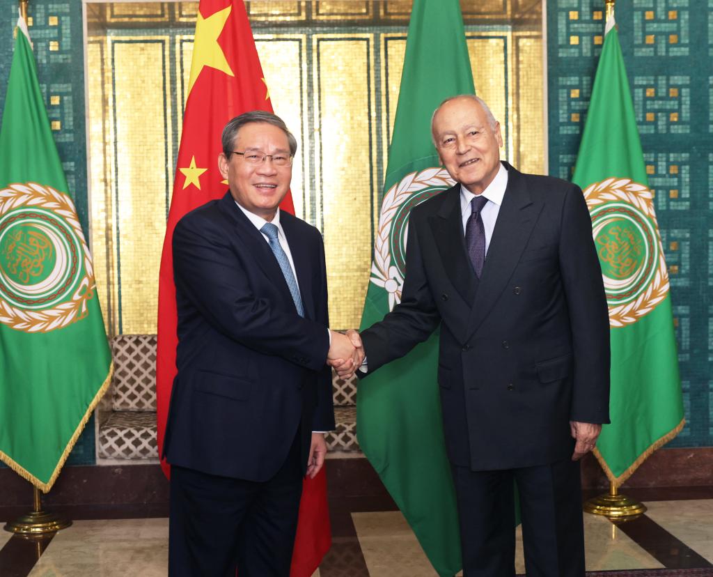 China voices support for Arab nations' unity, development -- premier