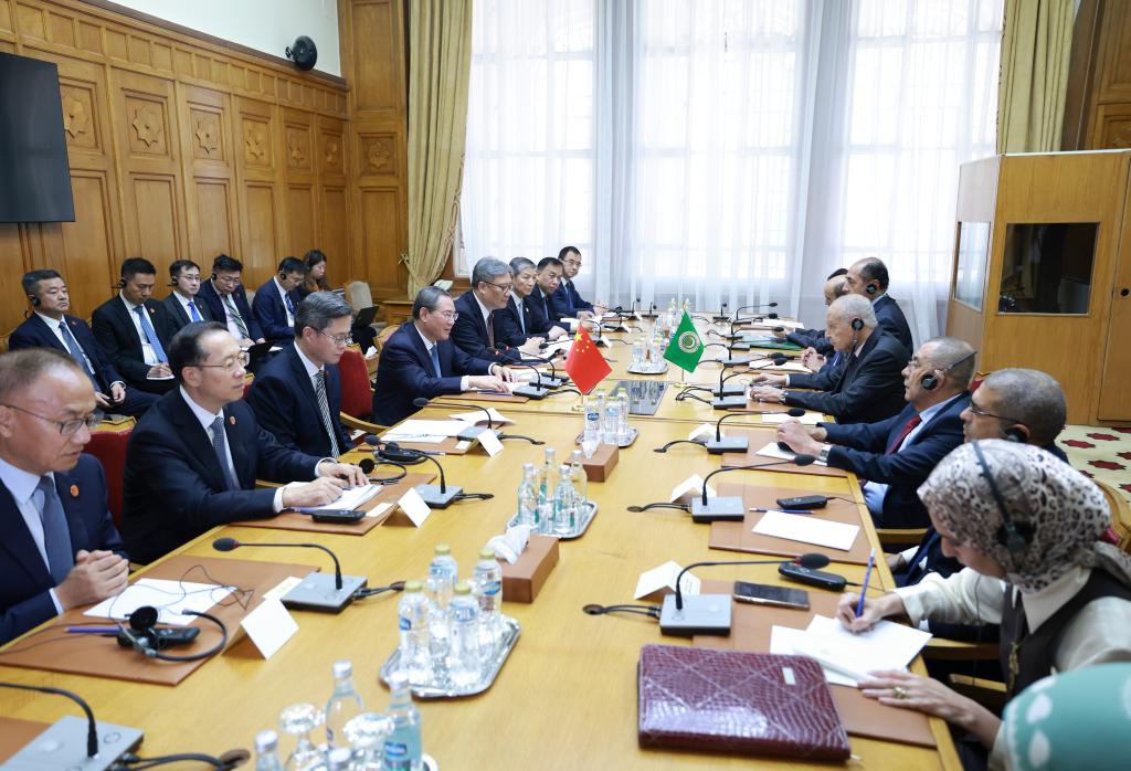 China voices support for Arab nations' unity, development -- premier