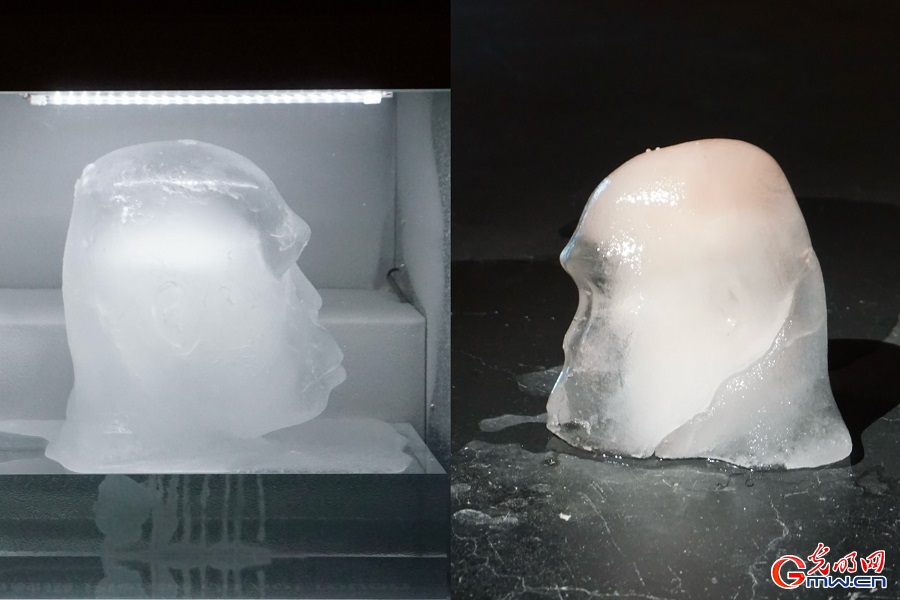Exhibition reimagines planetary life through machines and microbes