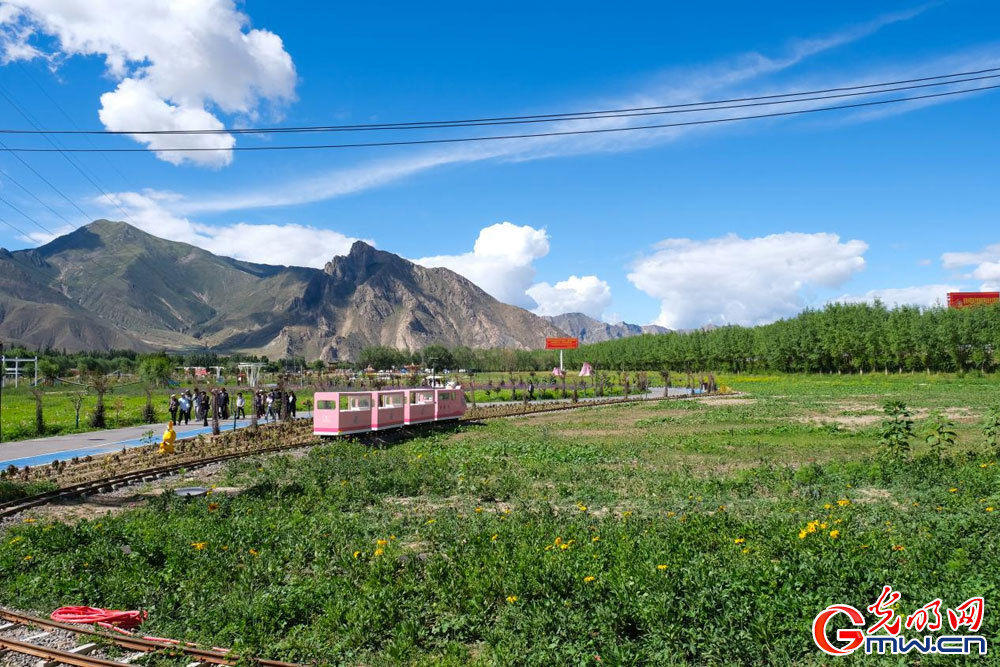 Modern plateau agriculture thrives in Lhasa, SW China's Xizang