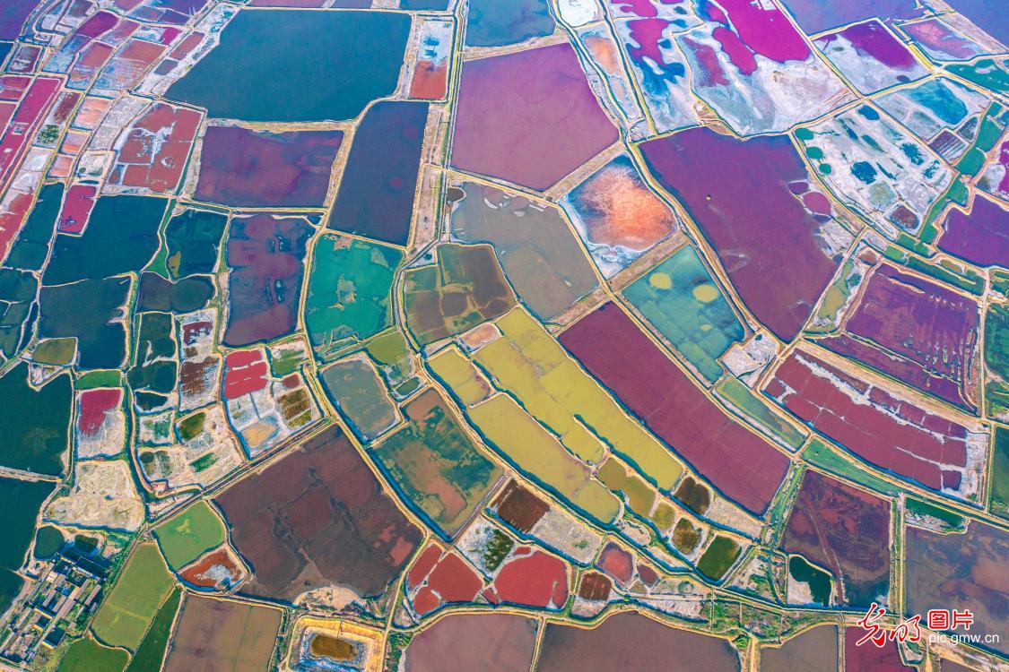 Colorful salt lake in N China's Shanxi dazzles with natural hues under summer sun