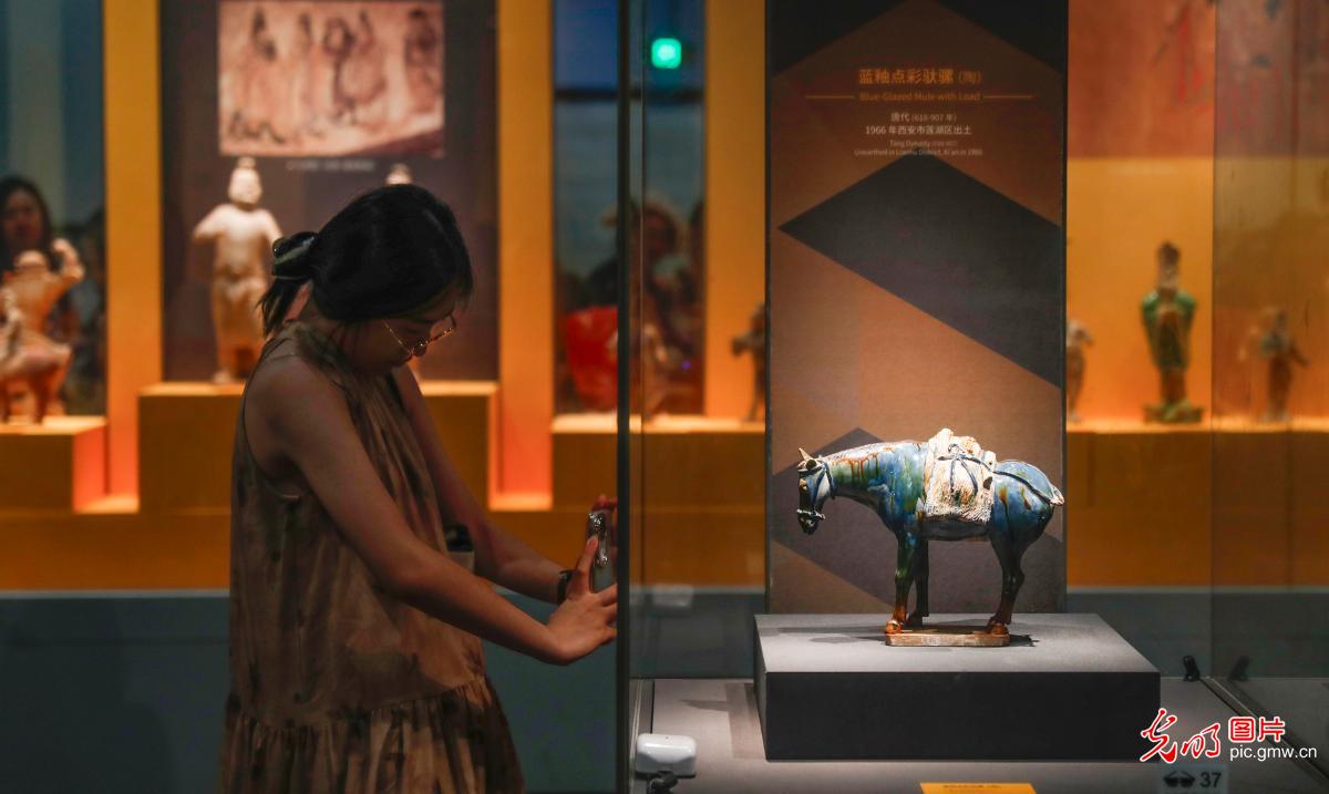 Immersive museum visits bring ancient Chinese culture to life during summer holidays