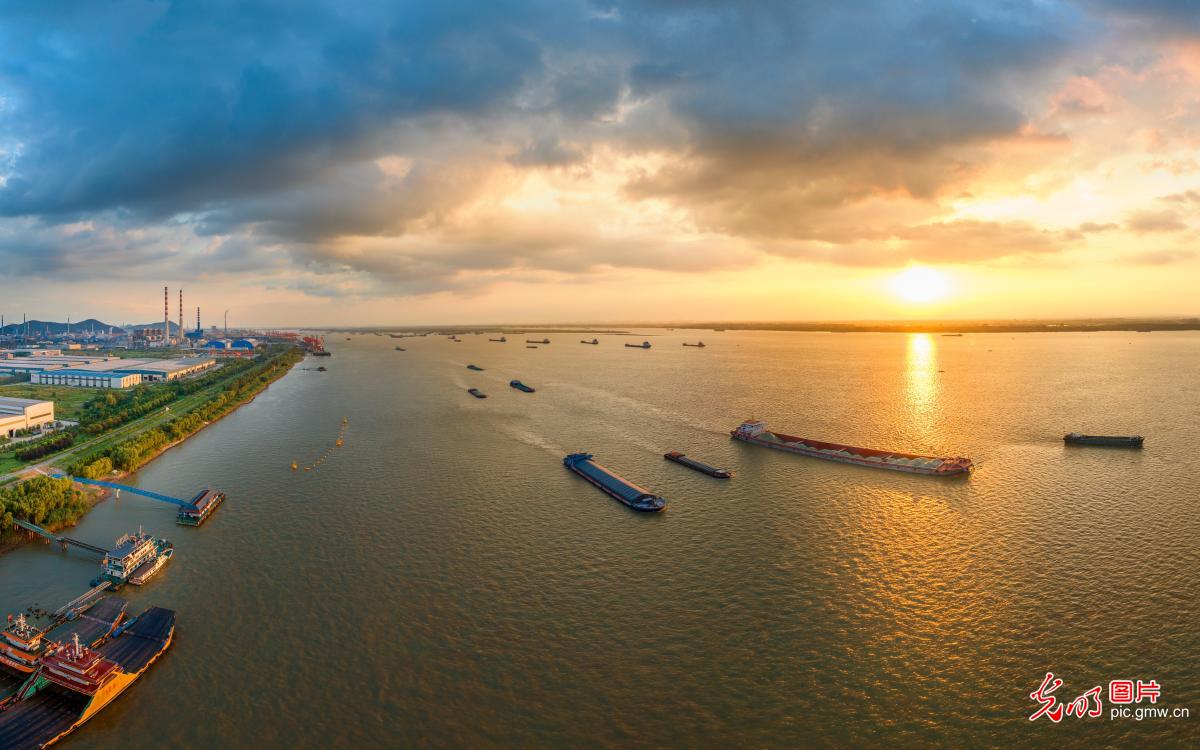 Busy summer shipping highlights vibrant commerce along Yangtze River