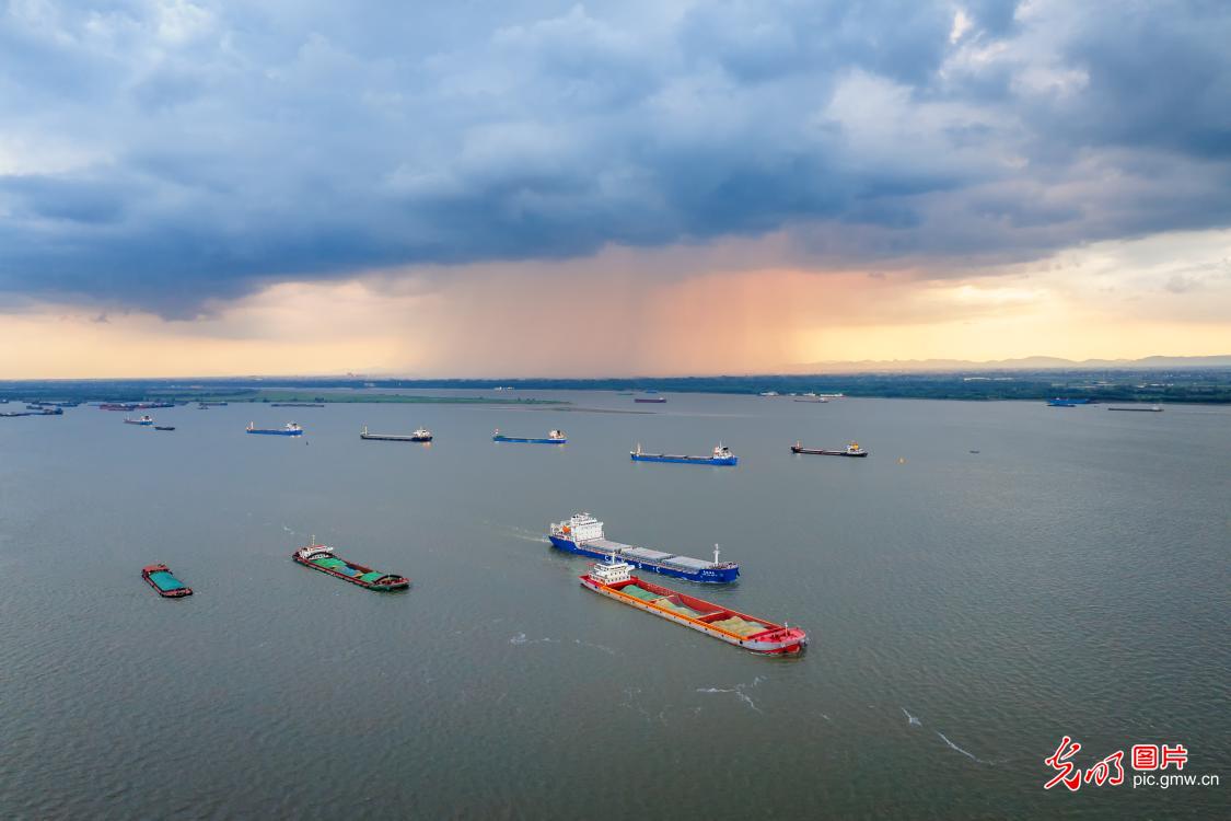 Busy summer shipping highlights vibrant commerce along Yangtze River