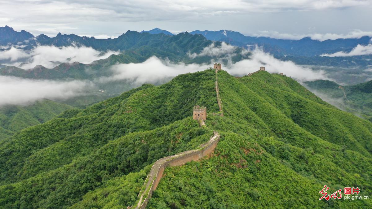 Sea of clouds shrouds Simatai Great Wall in ethereal post-rain beauty