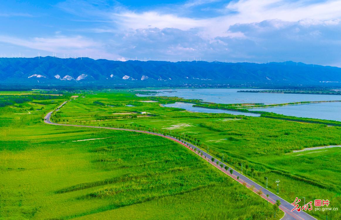 Restored wetland park in N China offers scenic retreat for residents