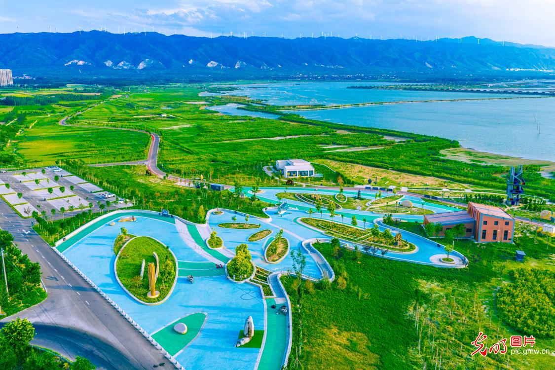 Restored wetland park in N China offers scenic retreat for residents