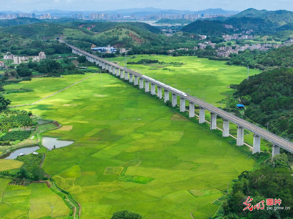 Picturesque rural landscape in S China's Guangxi