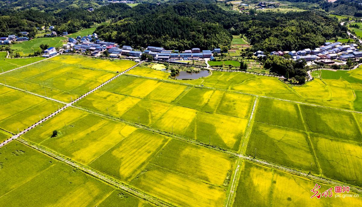 Picturesque rural landscape in S China's Guangxi