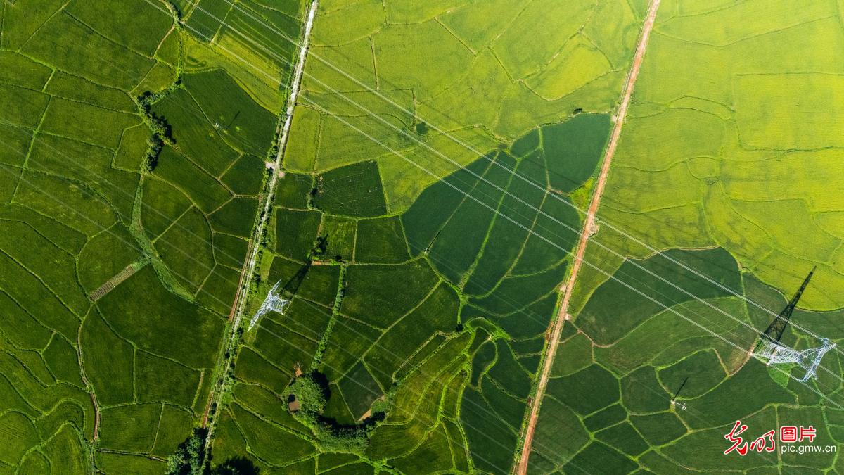 Picturesque rural landscape in S China's Guangxi