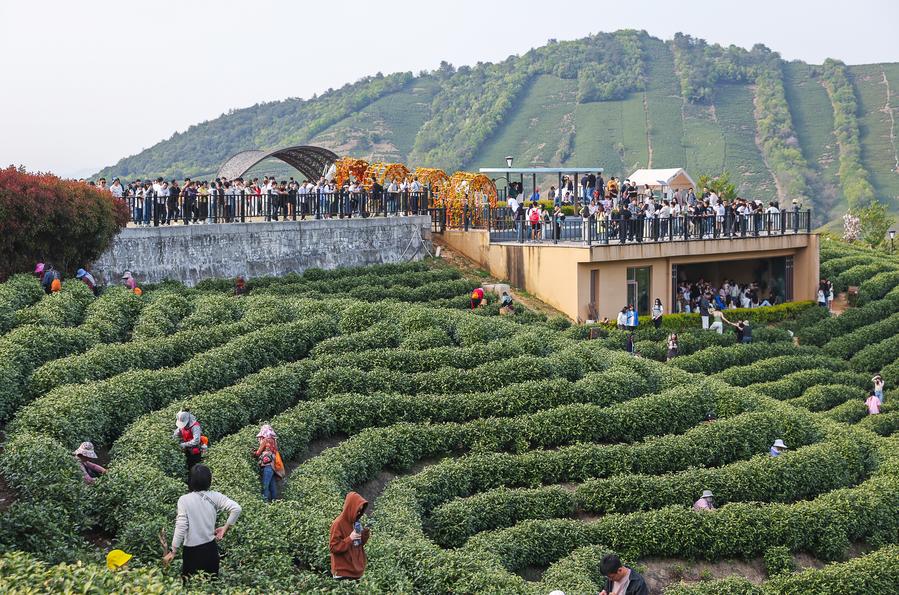 Xinhua Headlines: China's bubble tea boom brews rural growth, international presence