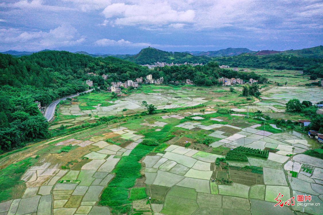 Vibrant rural palette in S China's Guangxi villages