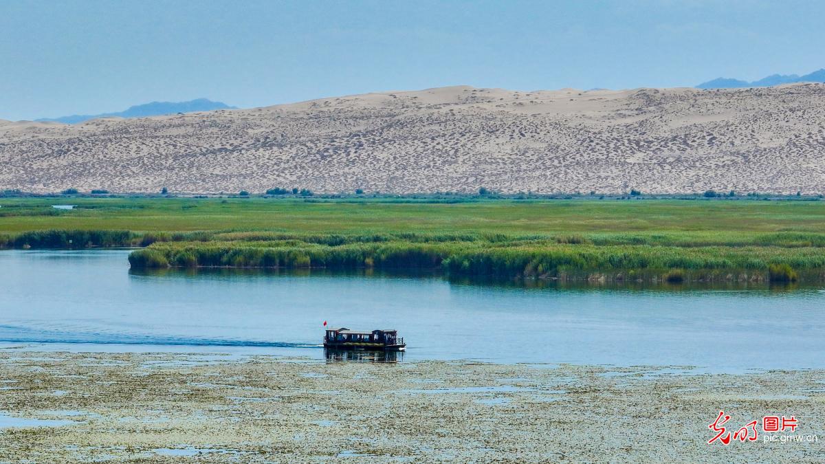 View of ecological charm at Bosten Lake in China's Xinjiang