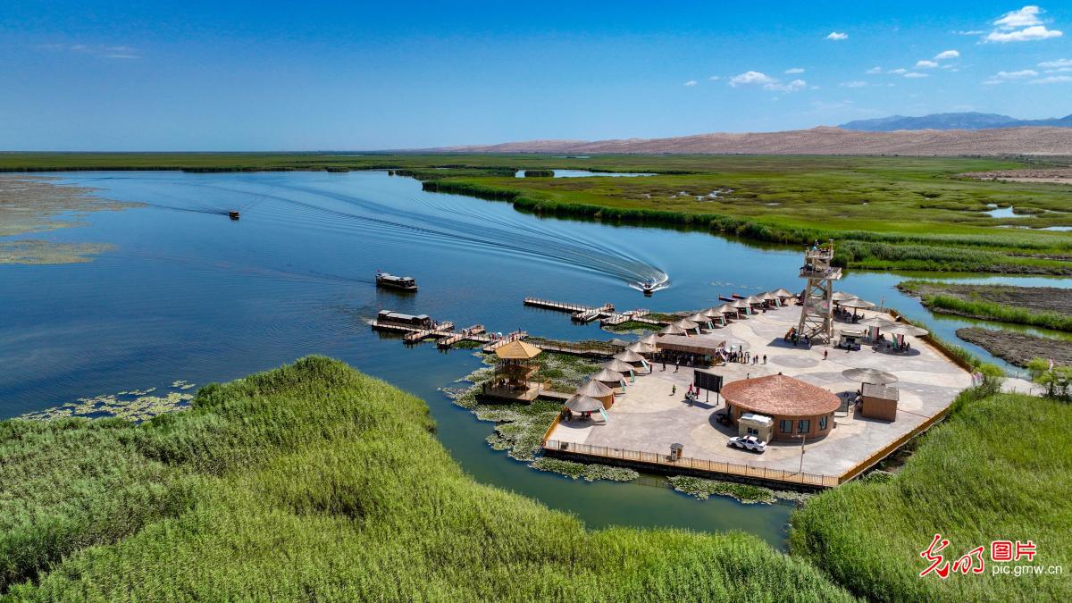 View of ecological charm at Bosten Lake in China's Xinjiang