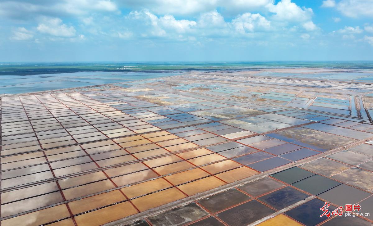 Colorful coastal salt pans in E China's Shandong