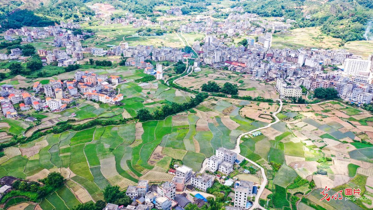 A charming early autumn rural landscape unfolds in S China's Guangxi