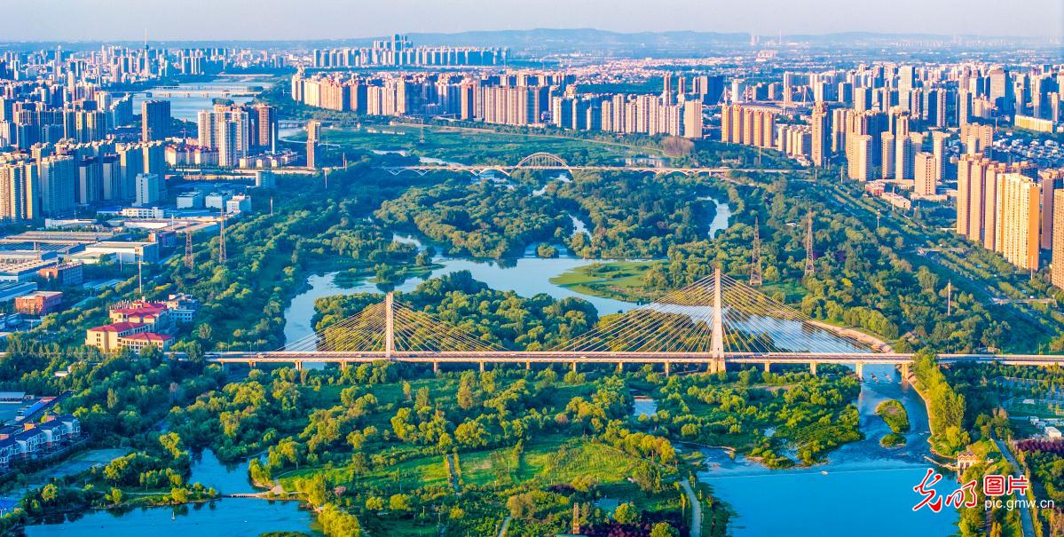 Serene wetland scenery in C China's Henan