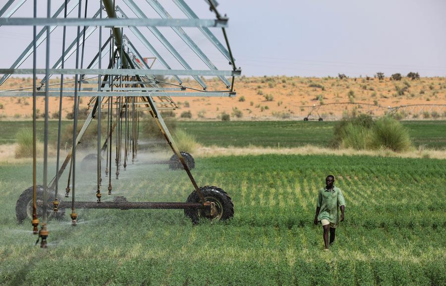 How Xi's green vision sparks hope for a sustainable world